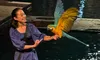 A woman dressed in blue stands on a stage holding a colorful parrot with its wings outstretched.