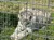 A white tiger is lying on the grass inside a metal enclosure.