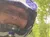 A person in a helmet takes a selfie while riding an ATV on a dirt trail through a forest.