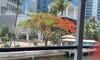 The image shows a scenic view from a boat of a city waterfront with a vibrant red-flowering tree and tall modern buildings in the background.