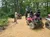 ATVs