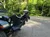 A plush toy is attached to the front bumper of a vehicle parked on a road surrounded by a lush green forest.