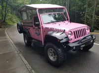 Pink Jeep with Newfound Gap Smoky Mountains Pink Jeep Tour