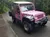Pink Jeep with Newfound Gap Smoky Mountains Pink Jeep Tour