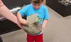 A young child in a museum is examining a large fossil-like object while reading a description card.