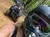 A person wearing a helmet and goggles takes a selfie on a forest trail while others ride ATVs in the background.