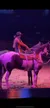 A performer, dressed in a cowboy hat and red outfit, rides a black and white horse under purple lighting.