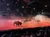 The image shows a group of bison standing in a circular arena under red lighting, with an audience watching from elevated seating.