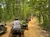 A group of people on ATVs ride along a dirt trail through a forested area.