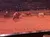 A rodeo event is taking place in an arena with two riders on horseback herding cattle, while spectators watch from tiered seating.