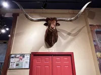 A taxidermy longhorn head is mounted above red doors, with a display of various horns in a glass case below.