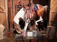 The image shows a life-sized model of a horse bending down inside a rustic wooden stable scene, accompanied by informational signage and old-style props.