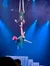 Two aerial performers in green costumes execute a dynamic routine suspended in mid-air against a backdrop of stage lights.