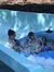 Splash on a Slide at Busch Gardens Williamsburg