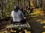 A group of people riding all-terrain vehicles through a forest trail on a sunny day.