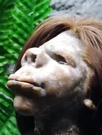 Head on a Stake at Ripley's Believe It or Not Museum