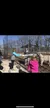 Seeing Tigers at the National Tiger Sanctuary in Branson