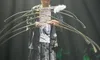 A person on stage balances several curved sticks with a feather, illuminated by dramatic lighting from above.
