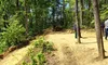 A dirt path winds through a wooded area with a red ATV parked on the left and a few people standing on the right.