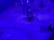 A performer interacts with a seal on a stage under blue lighting, surrounded by barrels and nautical props.