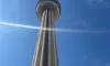 A tall observation tower rises dramatically against a clear blue sky with some foliage in view.