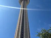 A tall observation tower rises dramatically against a clear blue sky with some foliage in view.