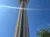 A tall observation tower rises dramatically against a clear blue sky with some foliage in view.