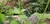 See Butterflies at the Butterfly Palace and Rainforest Adventure