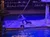 A performer interacts with a sea lion on a stage surrounded by water, while an audience watches from tiered seating.