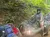 A person wearing a helmet and mask is riding an ATV on a forest trail.