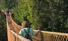 A person walks along a rope bridge with a wooden walkway, surrounded by trees.