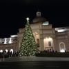 Christmas Tree Outside the Miracle of Christmas at Sight and Sound Theatres Branson