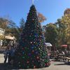 Christmas Tree at Dollywood Theme Park Tennessee