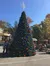 Christmas Tree at Dollywood Theme Park Tennessee