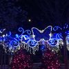 Lights at Dollywood Theme Park Tennessee