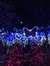 Lights at Dollywood Theme Park Tennessee
