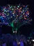 Lit Up Tree at Dollywood Theme Park Tennessee
