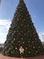 In Front of the Giant Tree at Miracle of Christmas at Sight and Sound Theatres Branson