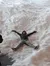 Snow Angels at Pigeon Forge Snow Indoor Snow Tubing