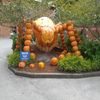 Spider at Dollywood Theme Park Tennessee