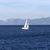 Sailboat with Lake Tahoe Sightseeing Cruises Aboard the Bleu Wave