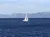 Sailboat with Lake Tahoe Sightseeing Cruises Aboard the Bleu Wave
