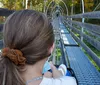 On the Mountain Coaster at Alpine Mountain Coaster at Goats on the Roof Pigeon Forge