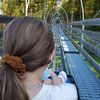 Coaster at Alpine Mountain Coaster at Goats on the Roof Pigeon Forge