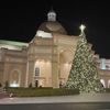 Christmas Tree at Noah the Musical at Sight and Sound Theatres Branson