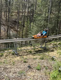 In the Woods at Rocky Top Alpine Mountain Coaster Pigeon Forge