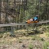 In the Woods at Rocky Top Alpine Mountain Coaster Pigeon Forge