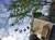 Thrill Rides at Dollywood Theme Park
