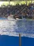 Would definitely love to go back. SeaWorld San Antonio