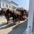 Mackinac Island Carriage Tour